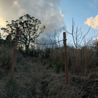 霧島東へ下りてきました🐒ゴールです😭