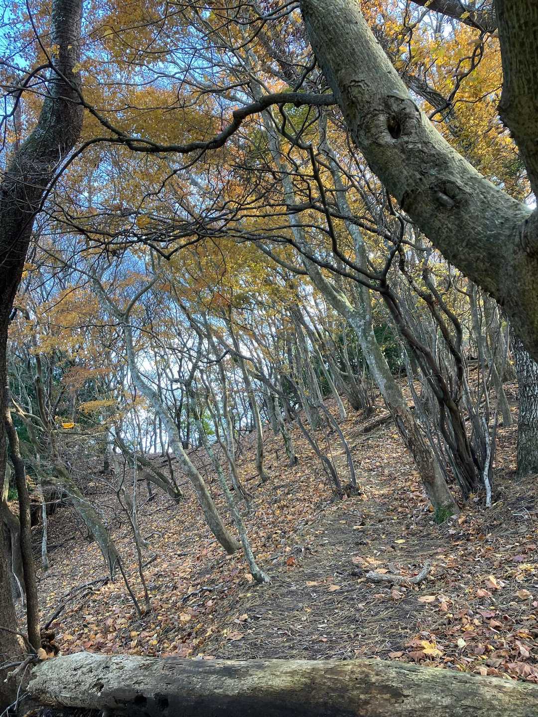 でもまだまだ
帰りの事があるので

しんどいとか
考えられない状況🤣
