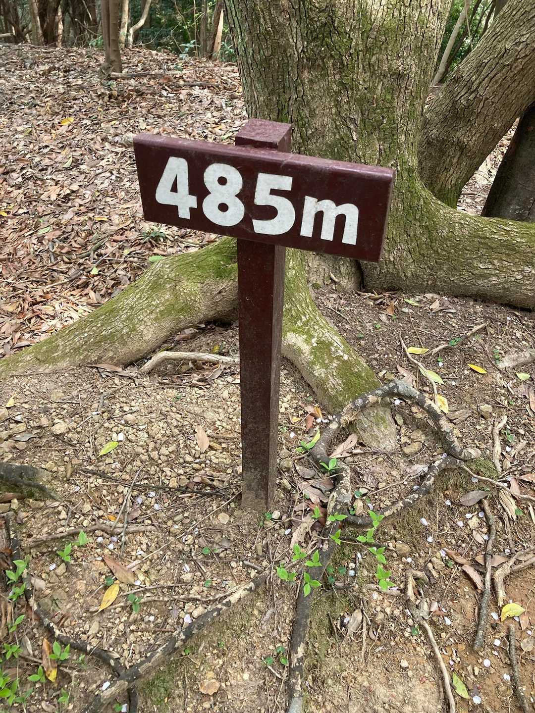 飛来山にも⛰️