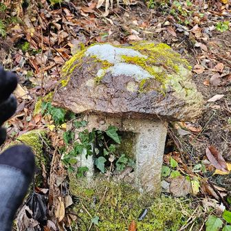 祠発見🤩
こんにちは🙏✨