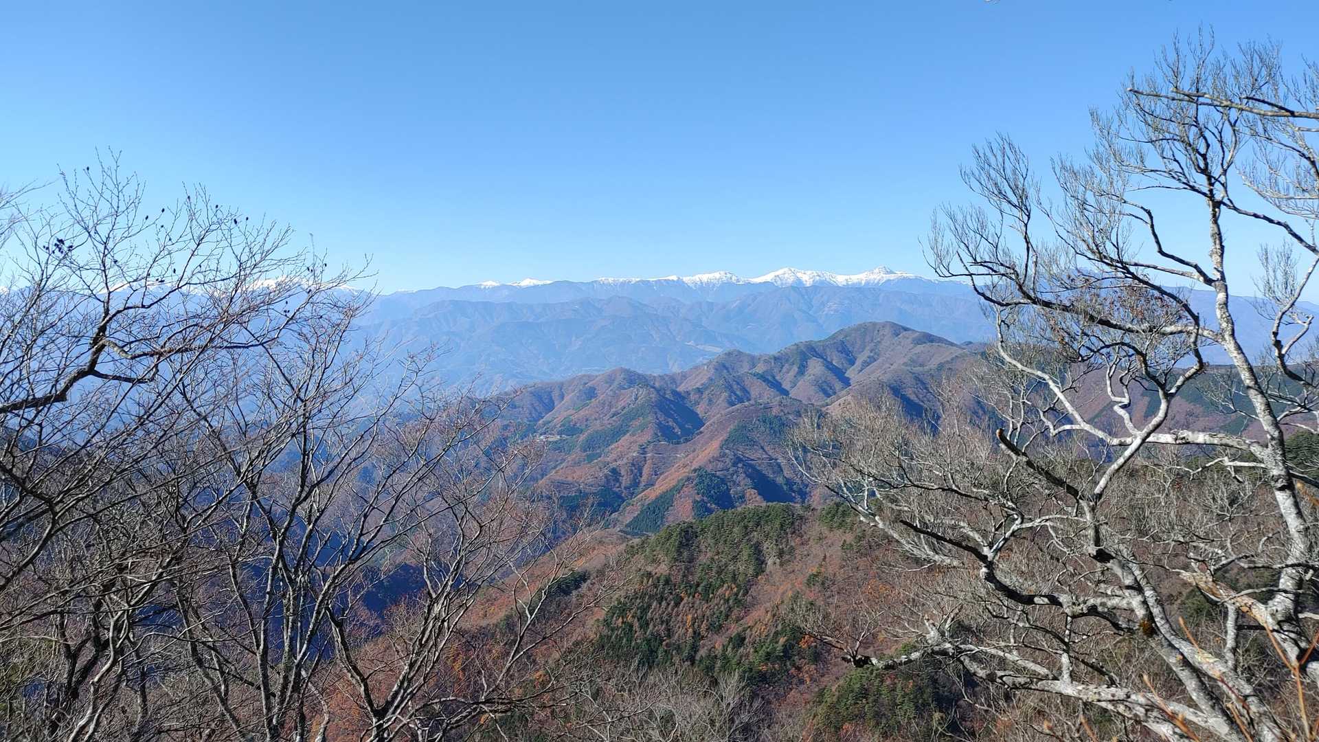 地図上に記されている南アルプス展望所から南アルプスを望みます。
倒木が展望台を塞いでいたので伐採しておきました( ´艸｀)