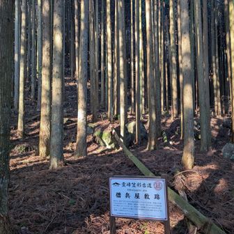 どのくらいの人数の僧兵がいたのでしょうか