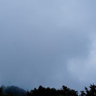 富士山が見えたはず