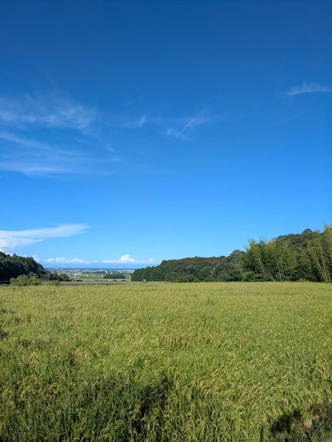 阿坂城跡登山口-桝形山 周回コースの写真