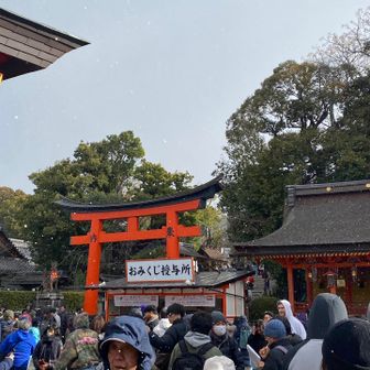 雪❄️が降ってきました。