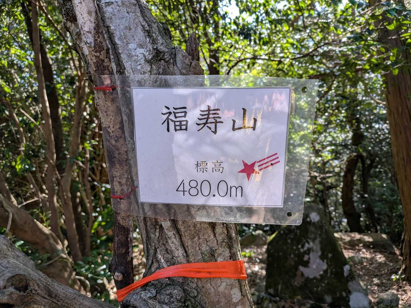 福寿山。眺望はありません