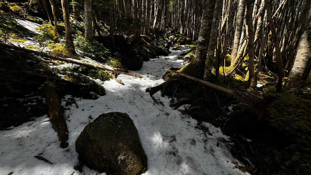 三宝山・甲武信ヶ岳縦走 の写真 19