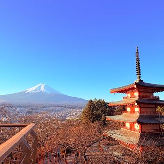 お馴染みの
新倉山浅間公園の展望デッキから
この時間でもそこそこ外国人いる😳