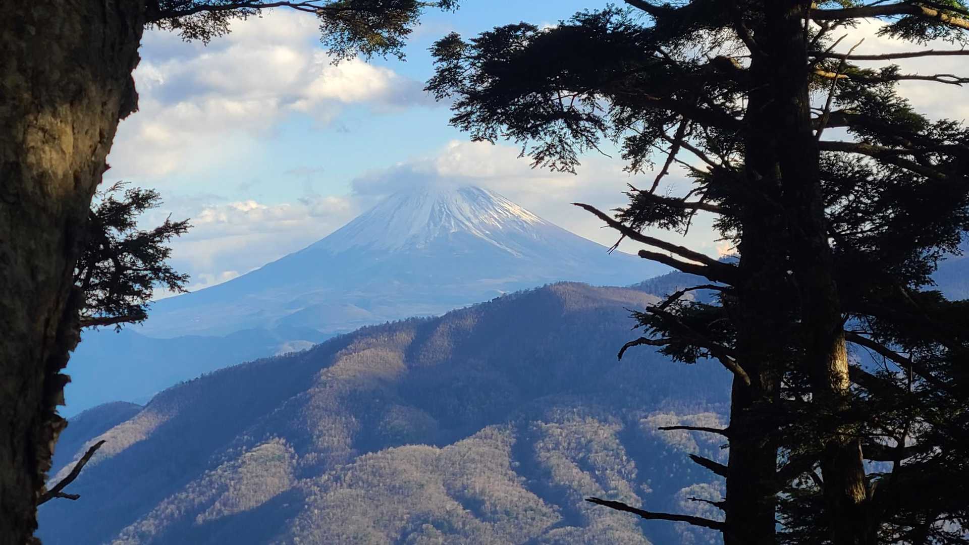 富士山見えました