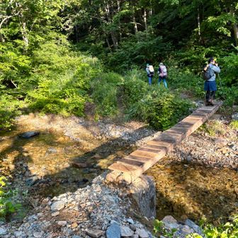  橋を渡って登山開始