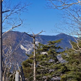 このあたりからはなかなか甲武信岳が見えない。左手前の木賊山の右にちょこっとみえるのが甲武信岳かな。
右のピークは三宝山。