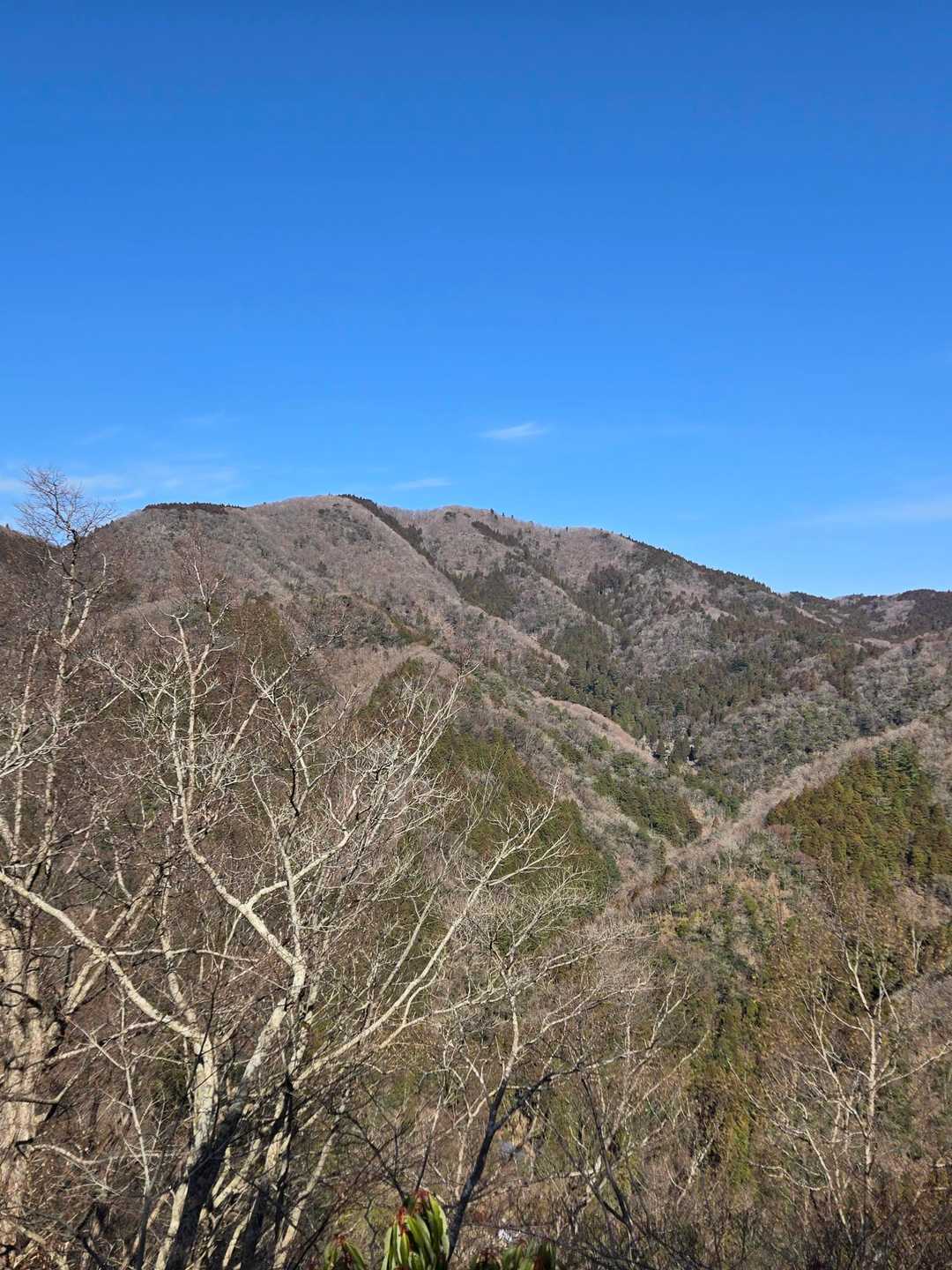 青空💙