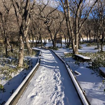 バスまで時間あるので覚満淵を散策。木道になってます。