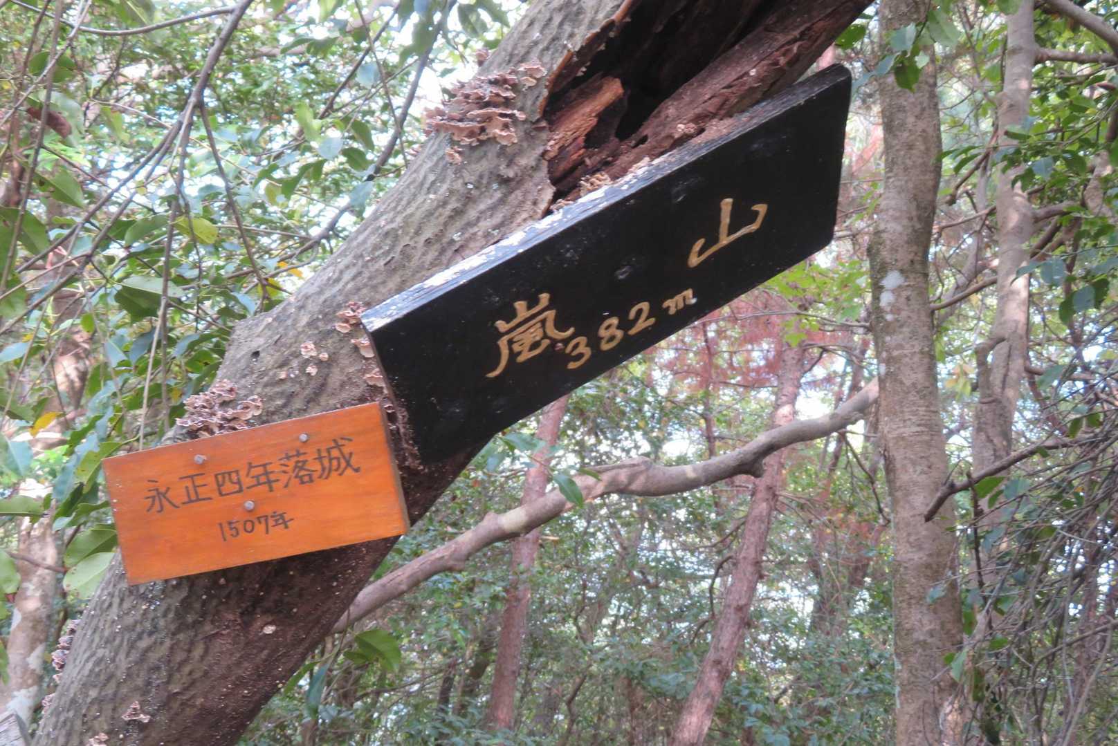 嵐山
戦国時代の前１５００年にここに城があったとか