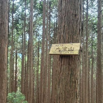 大津山までもほぼ眺望なしでした