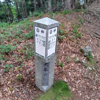 今はGPSあるから便利ですね〜☺️