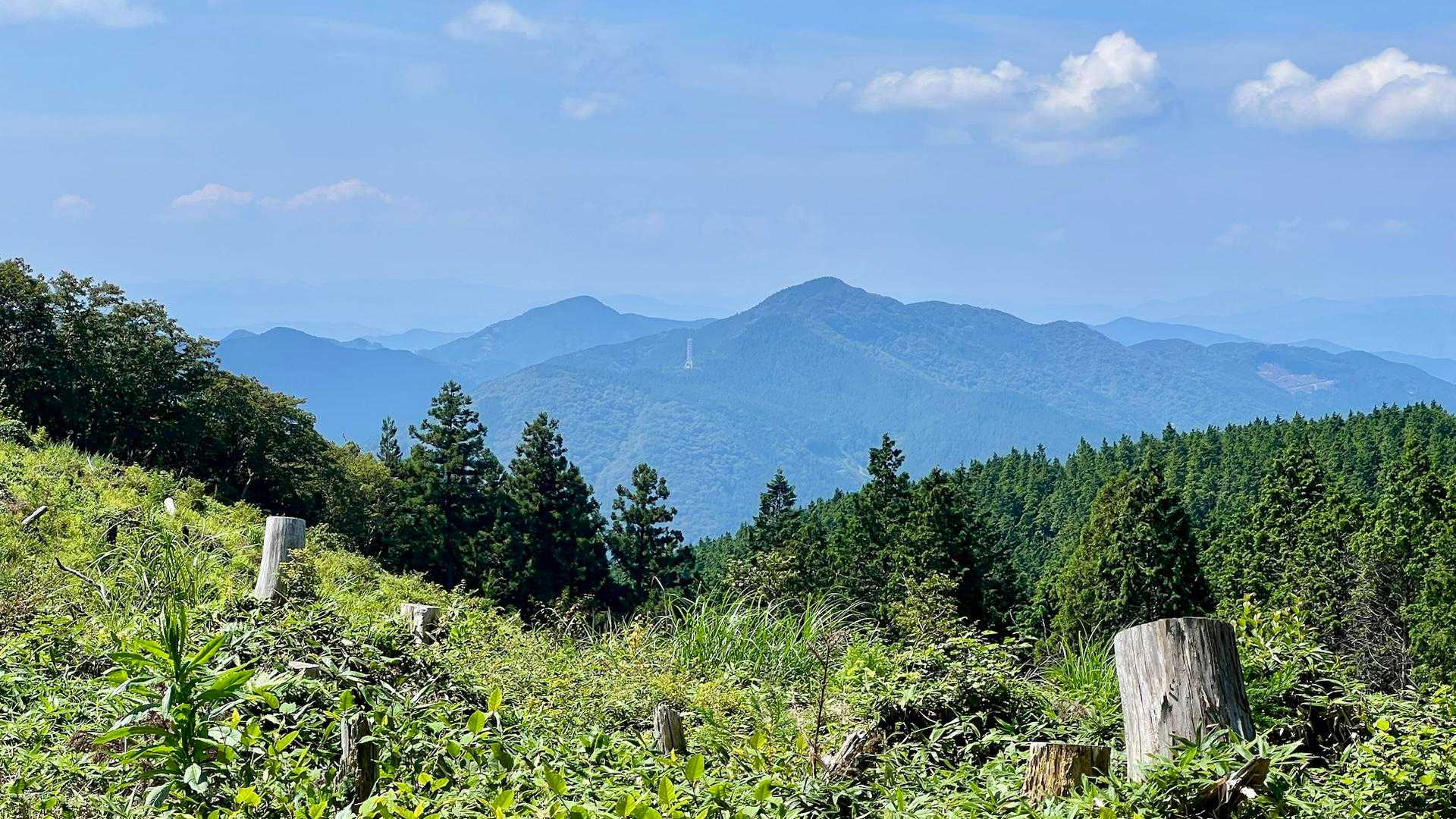 風穴登山口-皿ヶ嶺 周回コースの写真