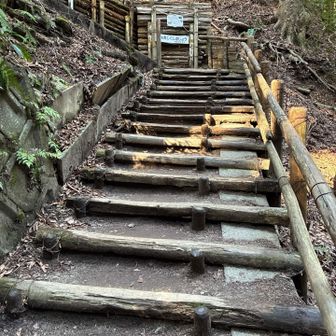 階段が始まった💦