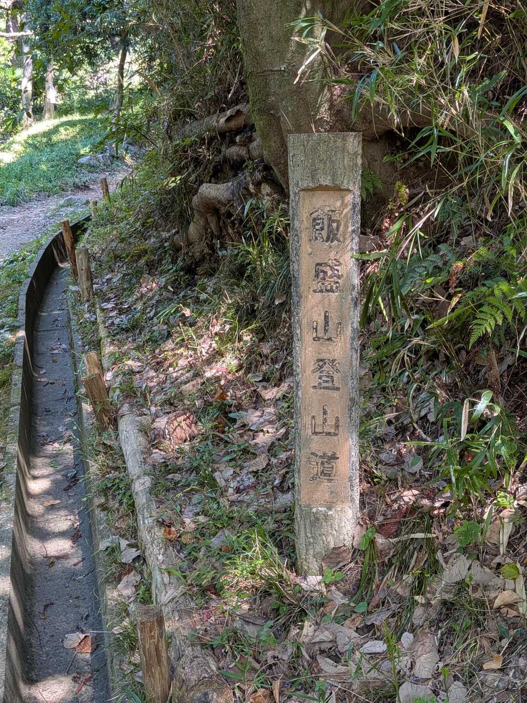 四條畷神社・飯盛山 往復コースの写真