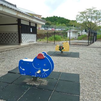 のんびり行くぞう🐘