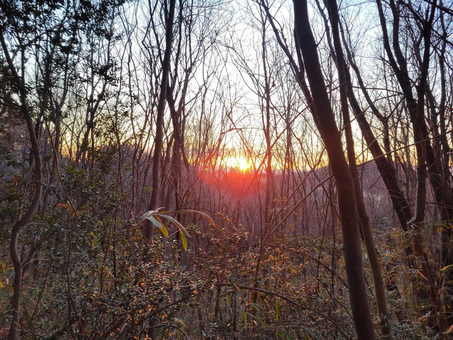 太陽が出て来ました🌄