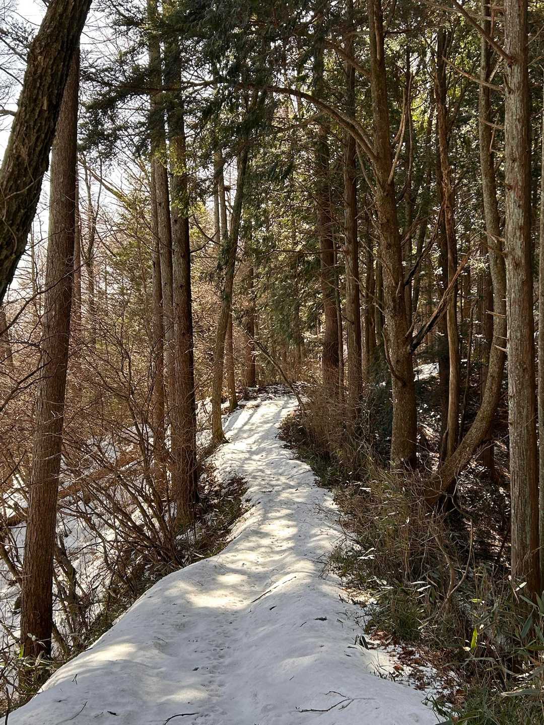 風越山押洞登山口-虚空蔵山 往復コースの写真
