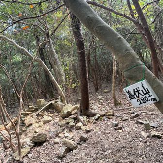 ヘタ部分の頂上