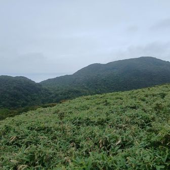 一度降りてきて駒ヶ岳方面に登り返し神山方面を振り返って