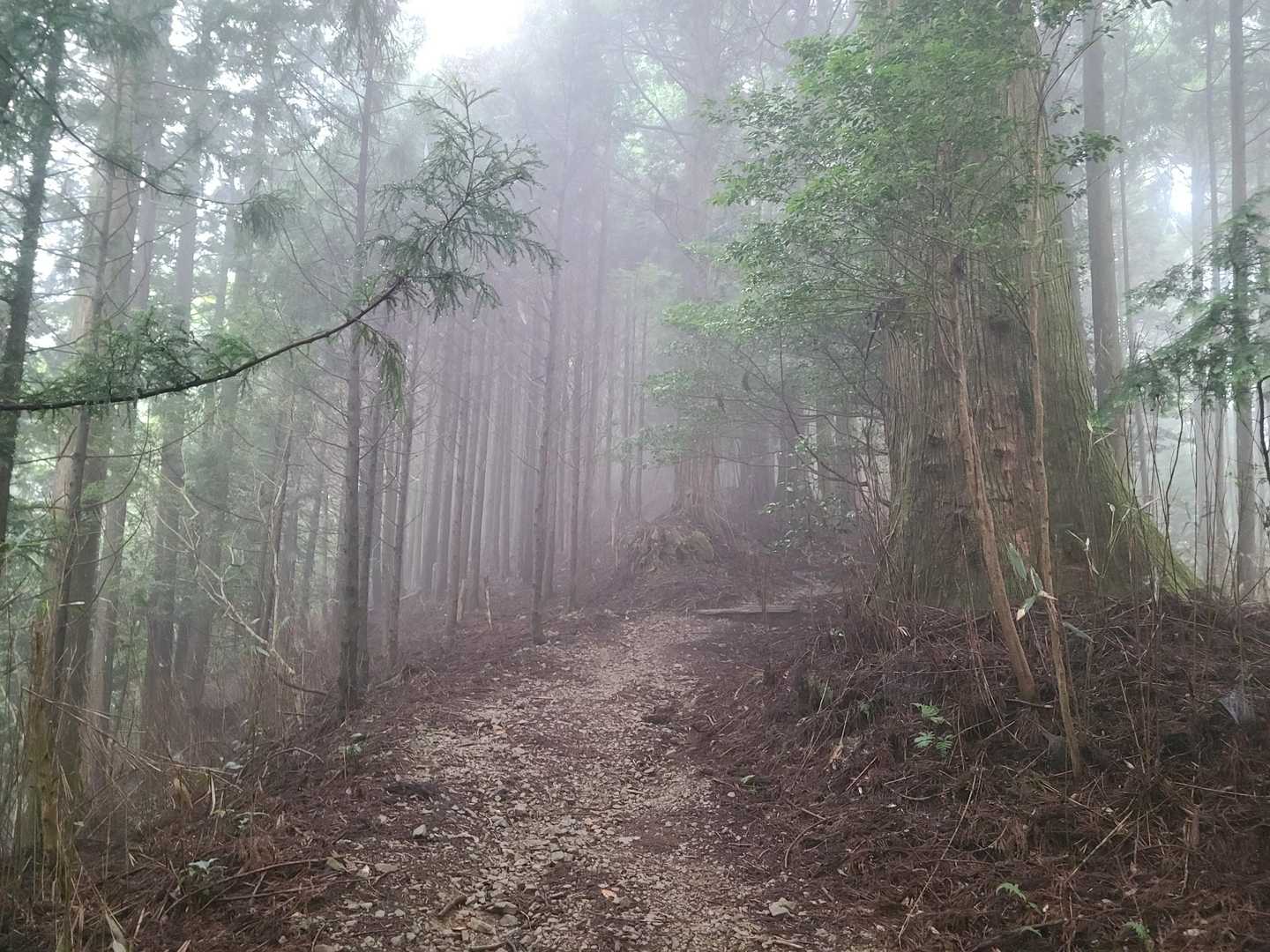 ガスってきた