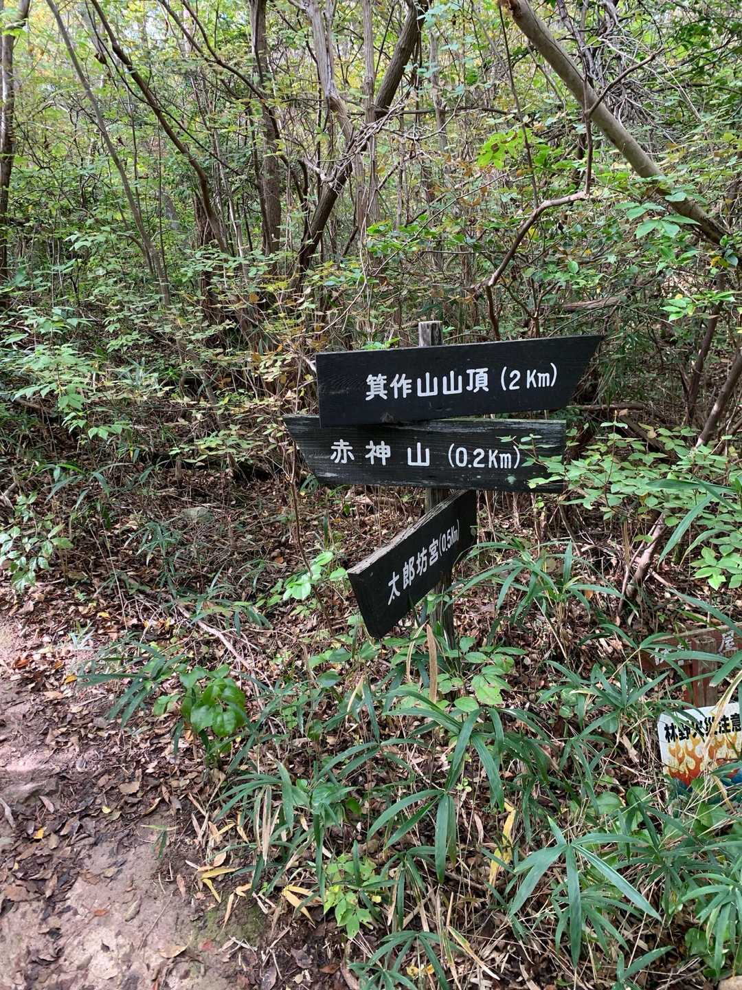 左の赤神山に向かいます