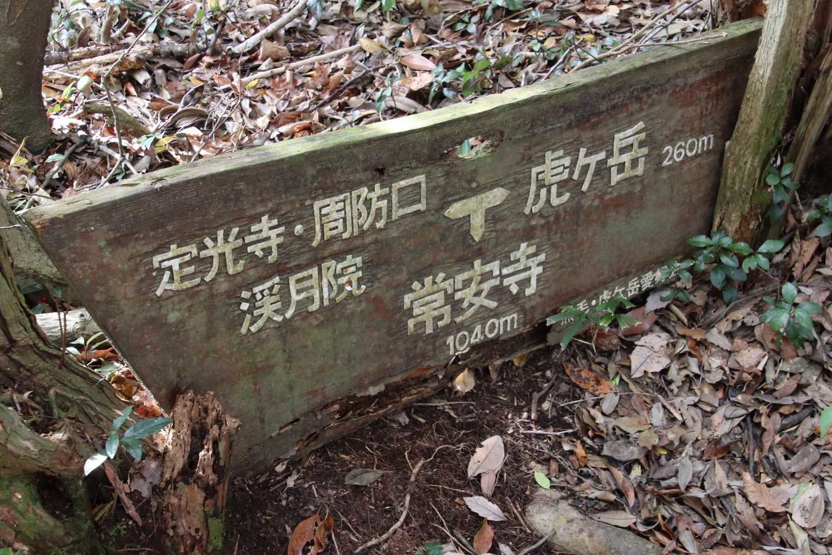 ここの分岐をやり過ごし歩を進めると・・・
