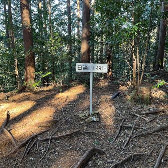 日当山到着、ここまで結構急🥵