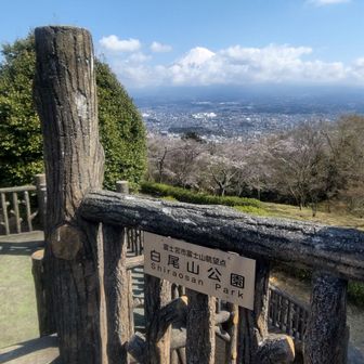 富士山はどこですか(´・ω・`)ﾁｬﾝﾄｱﾙﾖ
