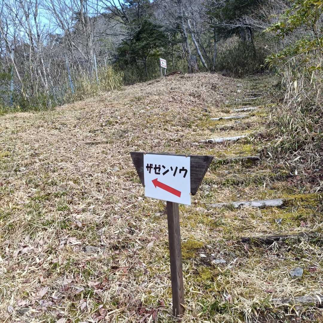 ザゼンソウを見に行こっと😄
今年は会えるかなぁ🤔