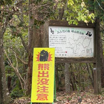 クマも出るようだ