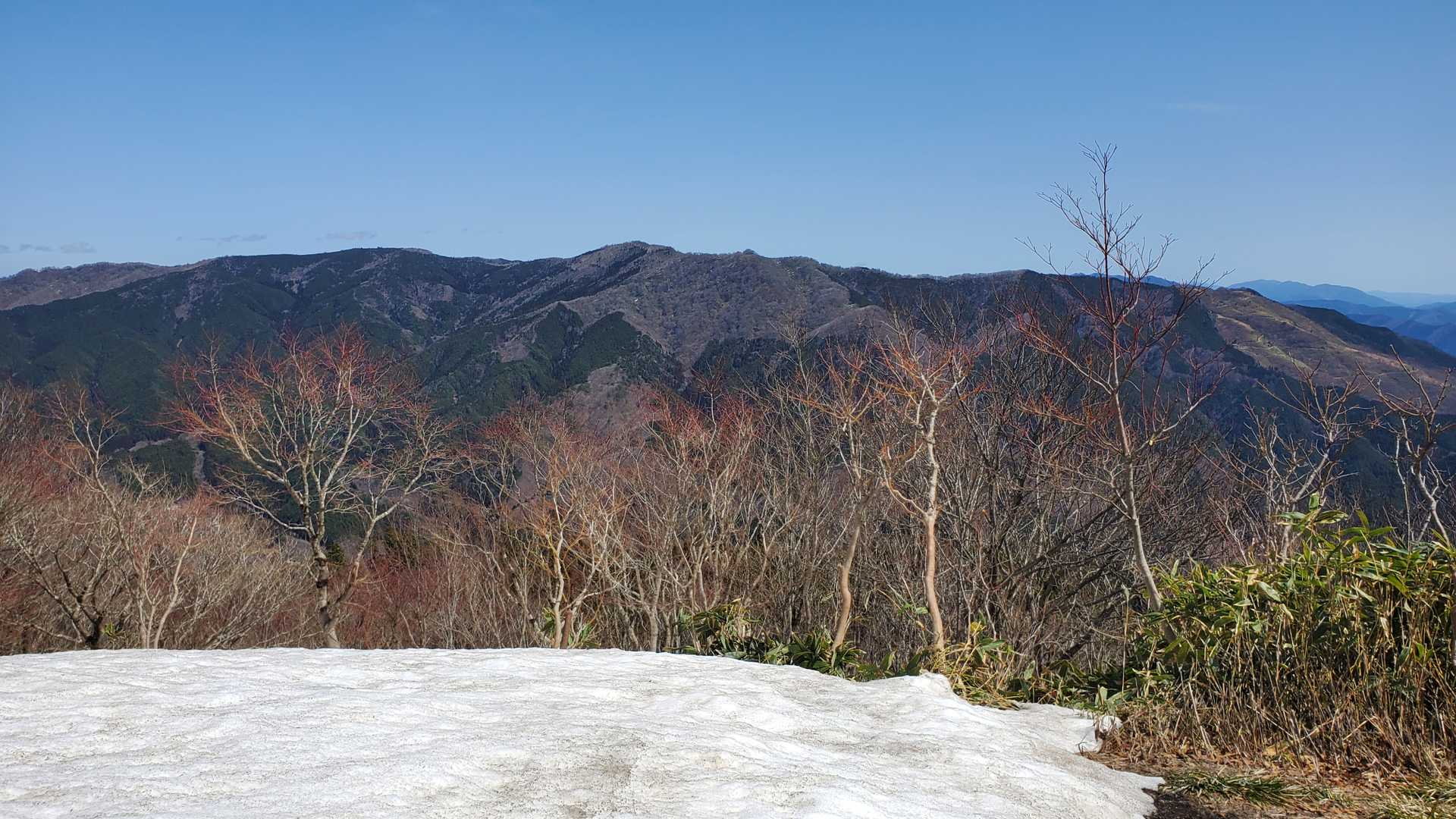 東側眺望。富栄山と大空山方向