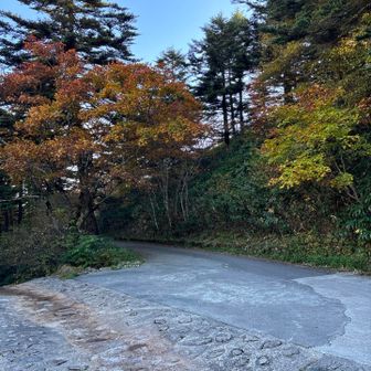 恵那山は結構ハードだったけど、
手前の千両岳と富士見台高原は、眺望はいい。
萬岳荘で一泊してその辺り行ってみてはどうでしょう。山小屋の方も気さくな方でしたよー♪
でわ👋