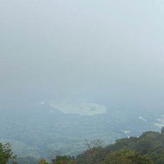 これが噂の「蛇🐍」。
顔と目玉しか見えません。