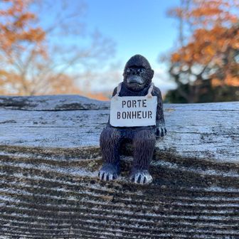 アハハハ🤣
サイズに驚き‼️
ちっちゃいんです🤭
大きさは🦍会いに来てね〜👋