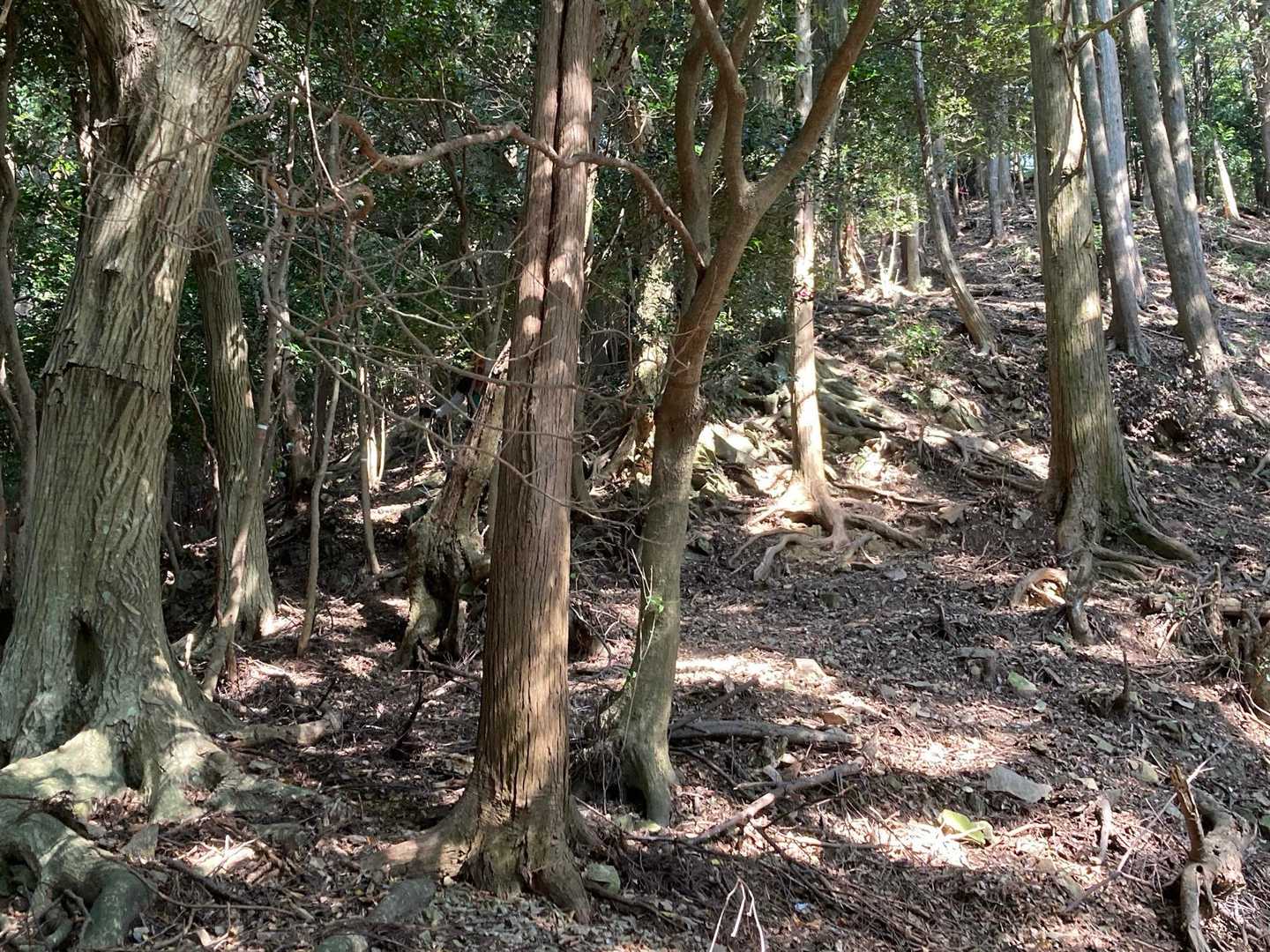 振り返って

何処かにタロいるよ笑

探してみてね🔍