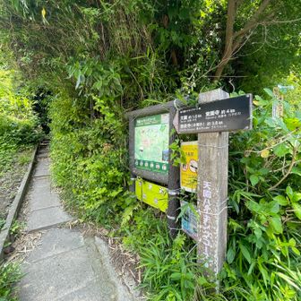 天園ハイキングコースの登山口に着きました
ここに出てきたの初かも