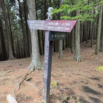 不老山の南峰に到着