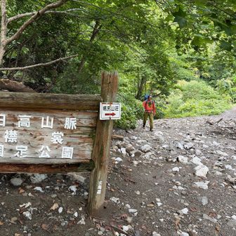 土砂崩れ跡、この後もモクモクと林道を歩く