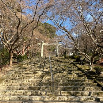 今日も無事のゴールでほっとしました😊
ありがとうございました😊