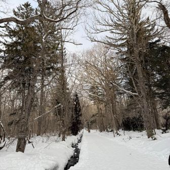 素敵なとこだ🙌