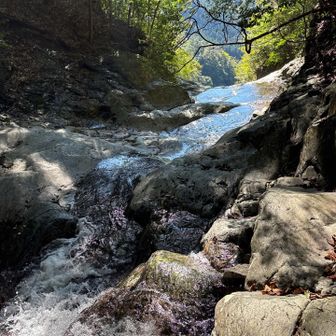 観音滝の直上流