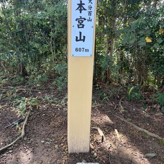 山頂に到着