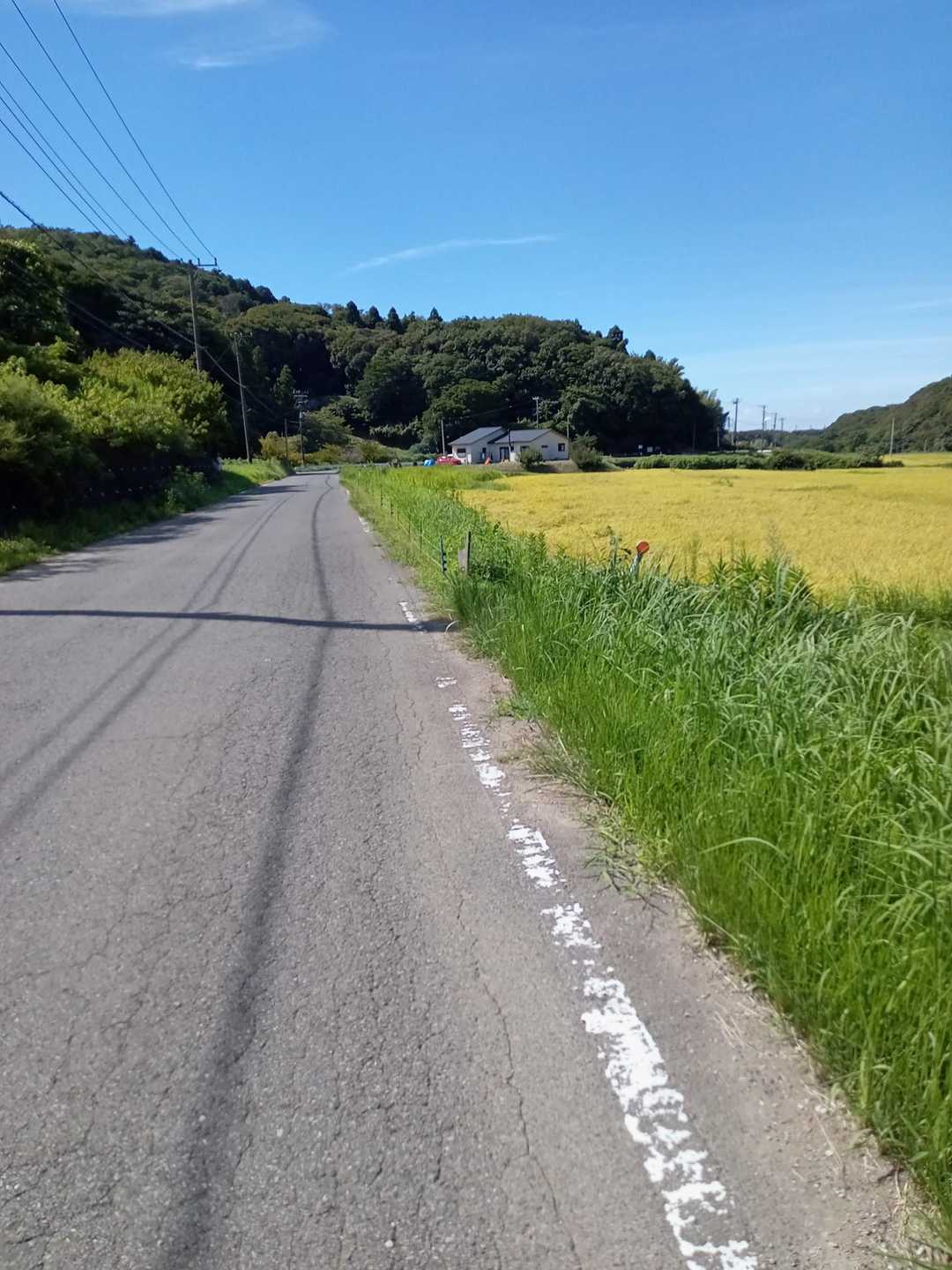 降りて来ました。
駐車場🅿に向かいます。