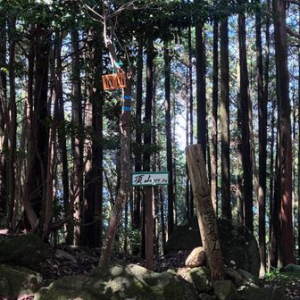 山頂