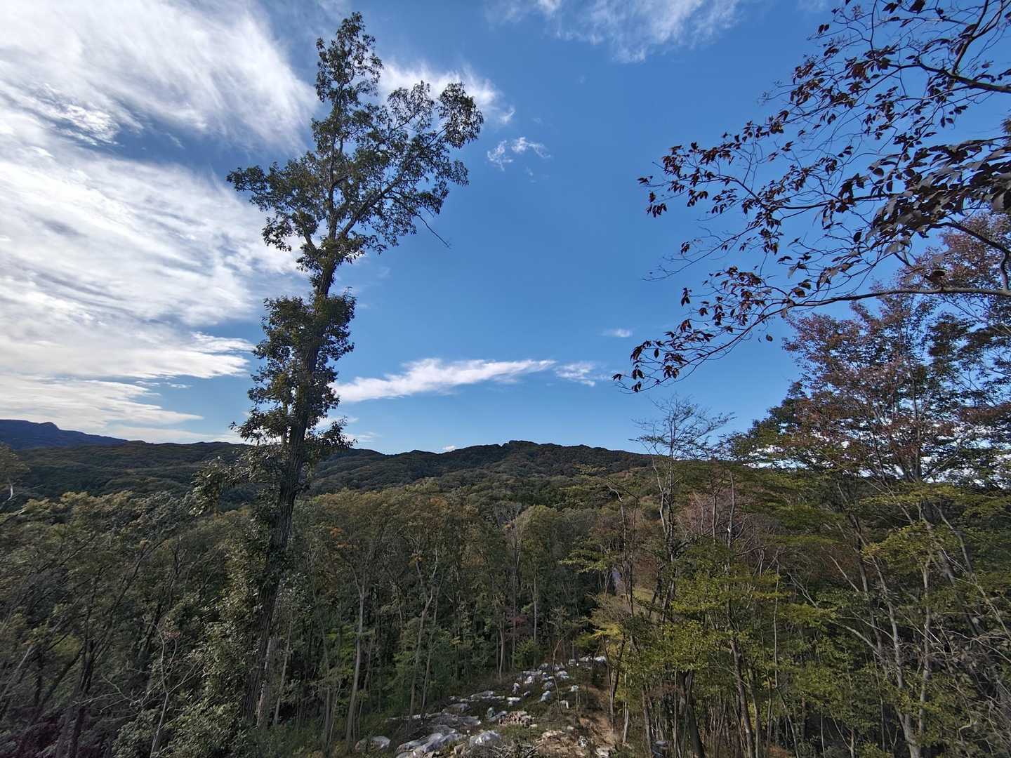 ⬆️山頂方面